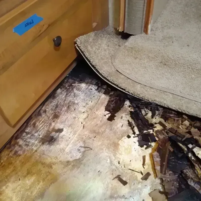 Best Wood Floor Water Damage Service in Avenue B and C, AZ